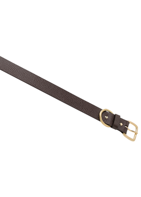 Status Anxiety - Disarm Belt - Chocolate/Gold