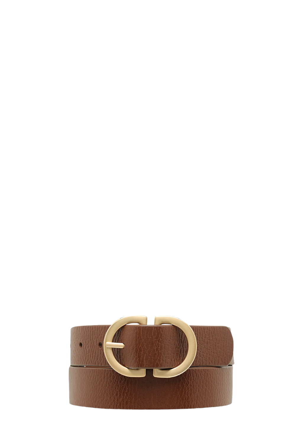 Status Anxiety - In Reverse Belt - Tan/Gold - Hardpressed Print Studio Inc.