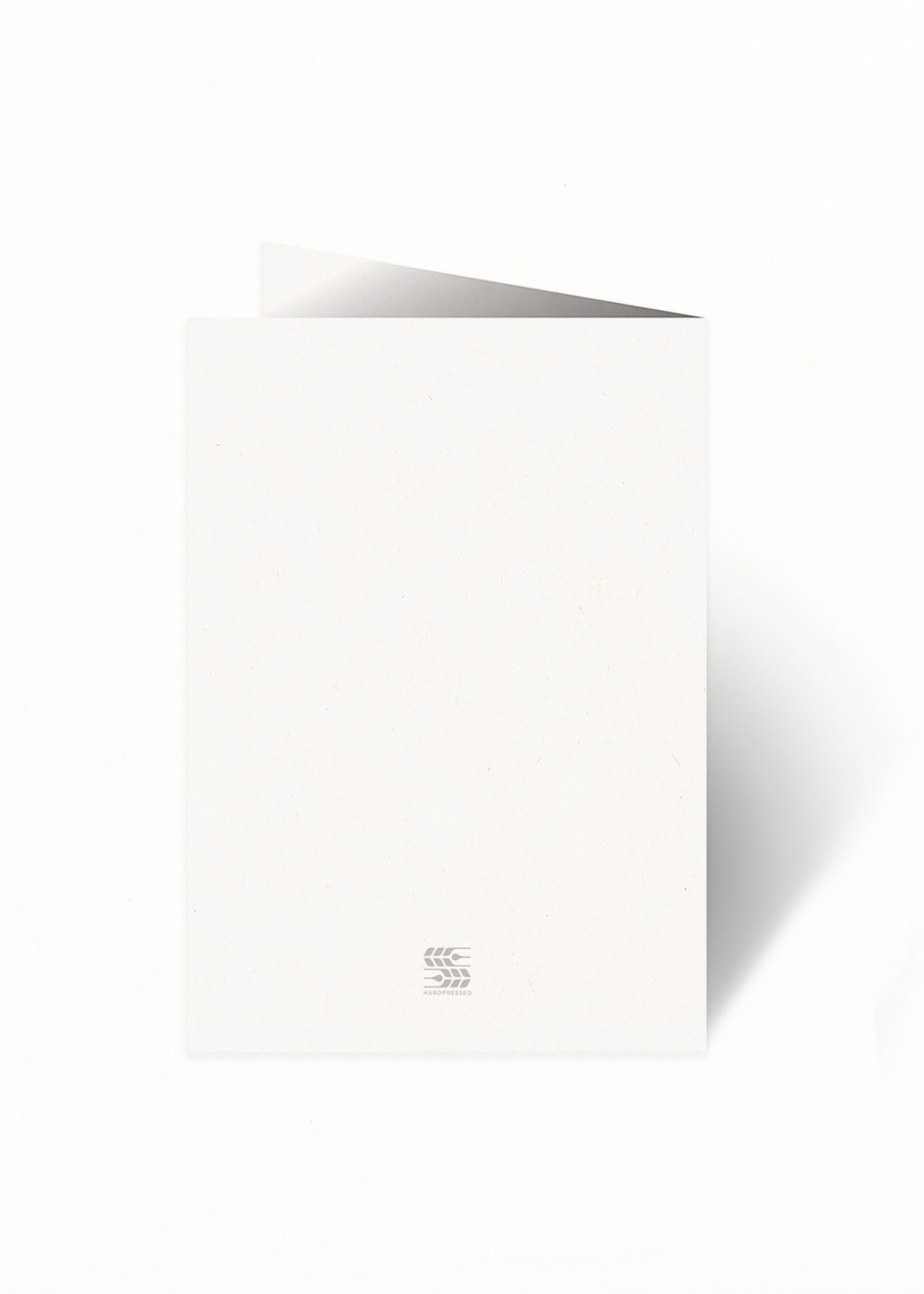 Wildlife Series Greeting Card | Black Bear - Hardpressed Print Studio Inc.
