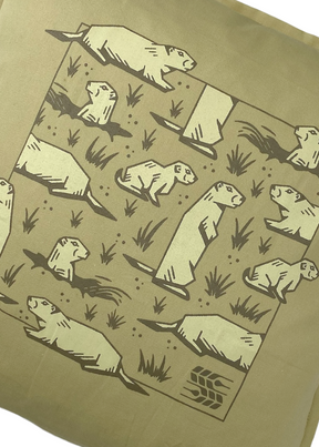 Prairie Dog Pillow | Grasslands - Hardpressed Print Studio Inc.