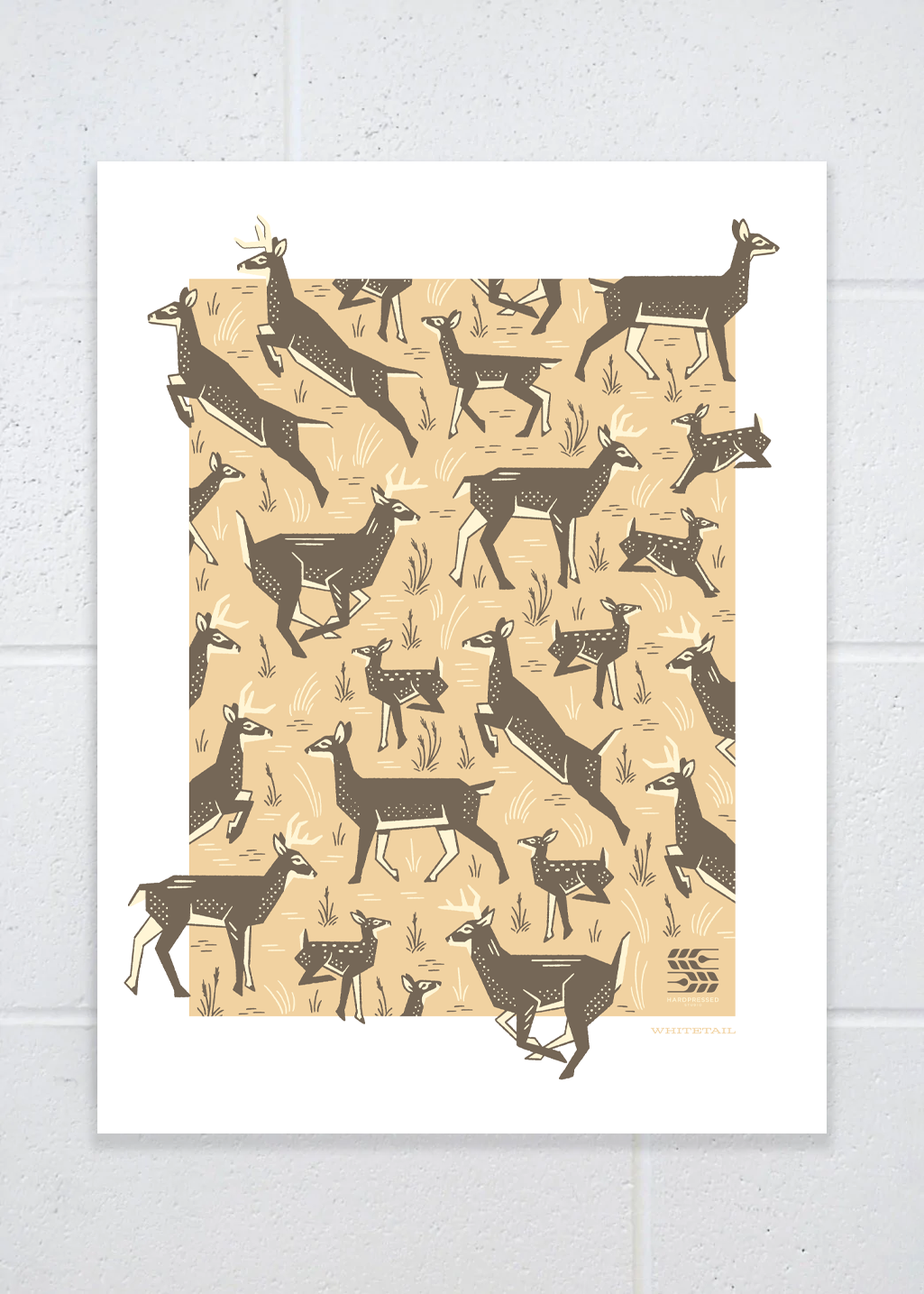 Wildlife Series Poster Print | Whitetail - Hardpressed Print Studio Inc.
